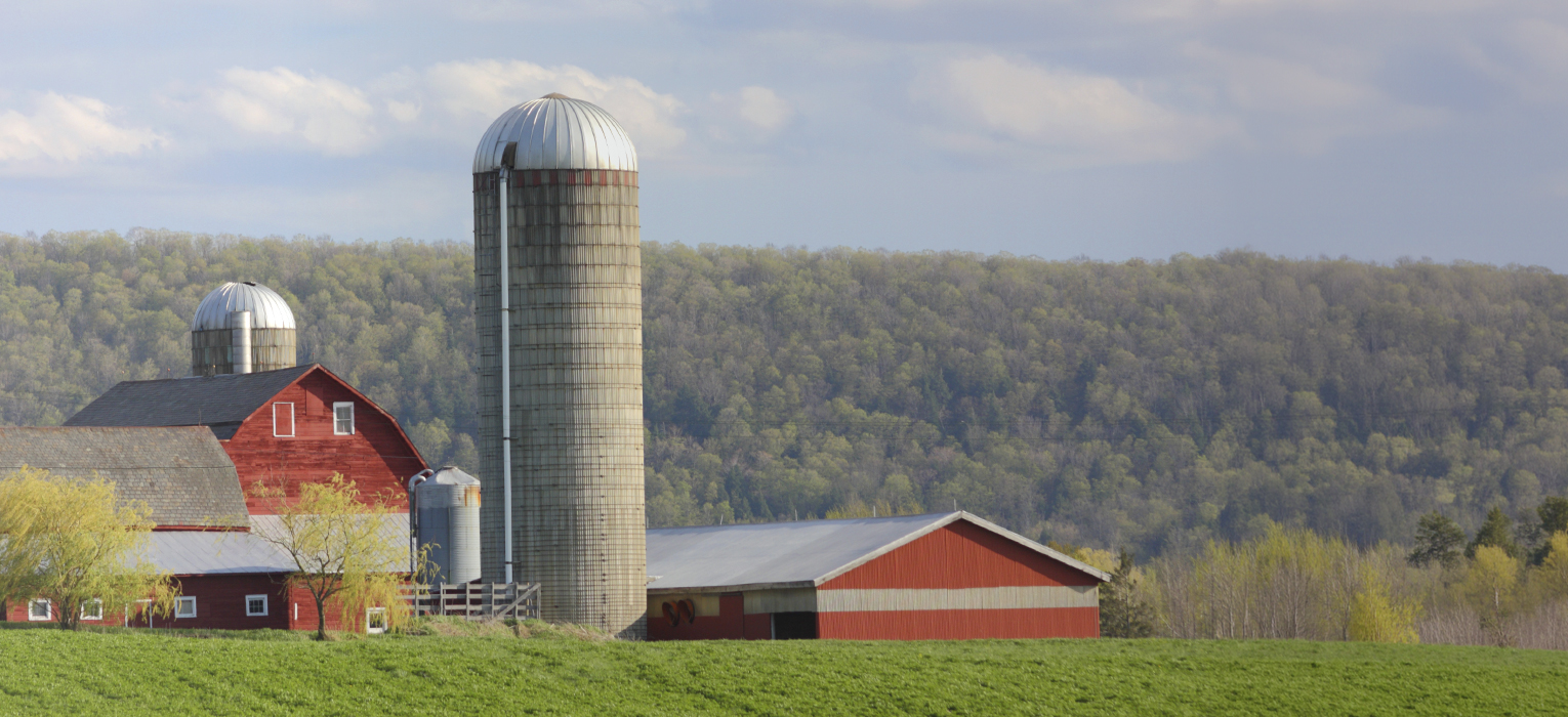 Farm with a red barn, grain silos, and agricultural buildings in a rural landscape.